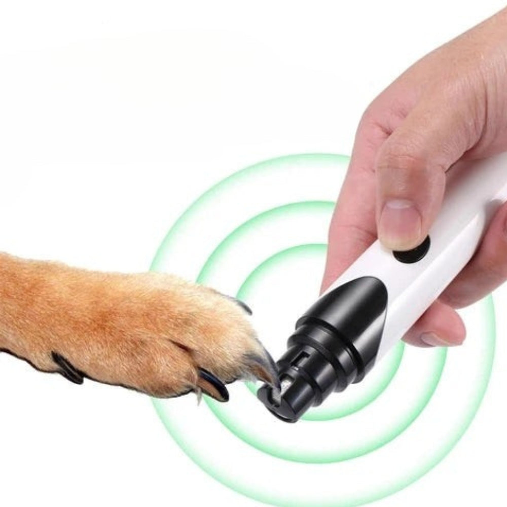 PawPerfect – Uppladdningsbar husdjursnagelfil med flera bilagor Carvallo