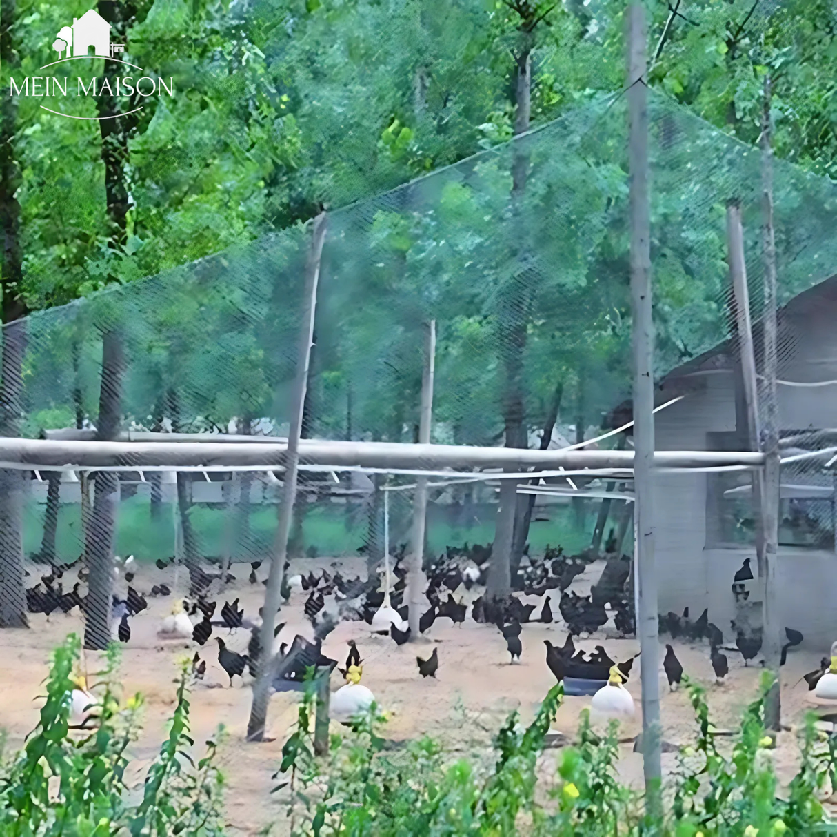 Carvallo Pro Trädgårdsnät | UV-beständigt & Rivtåligt | Mångsidigt växtskydd | Finns i önskad storlek Carvallo