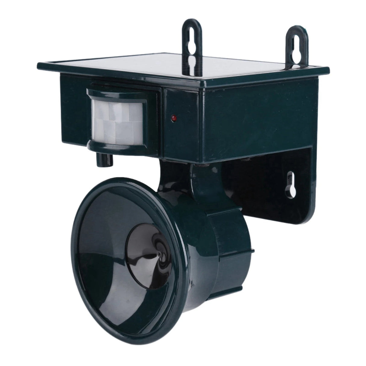 Carvallo – Intelligent fågelskrämma! Carvallo