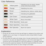 Ion Pure - Ionskt Detox Fotbad Carvallo