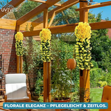 Carvallo – Naturlig elegans, ständigt fräsch [Sista dagen rabatt] Carvallo