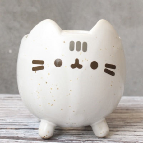 PurrNest – Låg syrlig kattformad planteringslåda med unikt design Carvallo