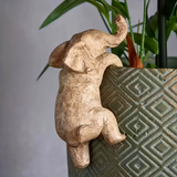 Unik Elefant Klättrande Skulptur Carvallo