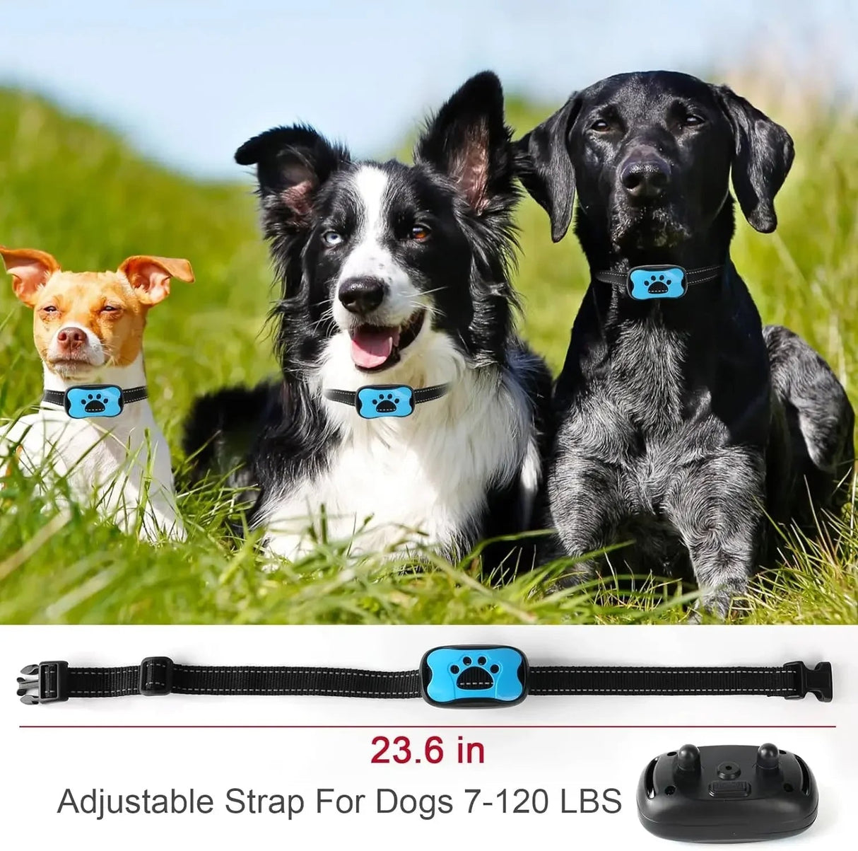 BarkBuddy Anti-Bark Hundhalsband Carvallo