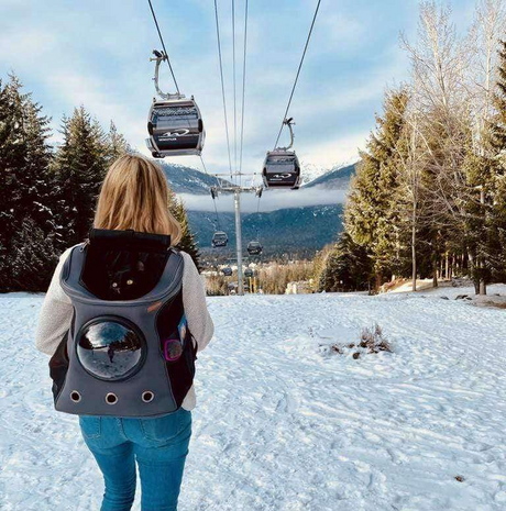 Rese kattryggsäck för större katter Carvallo