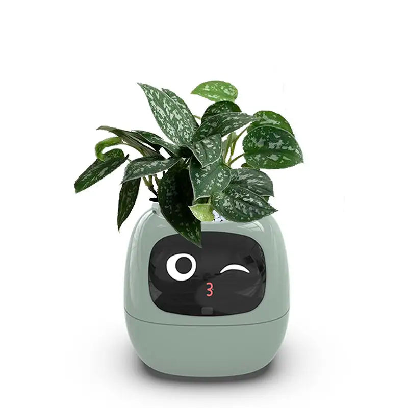 Smart Sensors Planter - 7 Smart Sensors och Ai Chips Gör Att Odla Växter Enkelt och Roligt för Vardagsrummet Carvallo