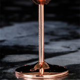 Glasstopp för champagne, rostfritt stål Carvallo