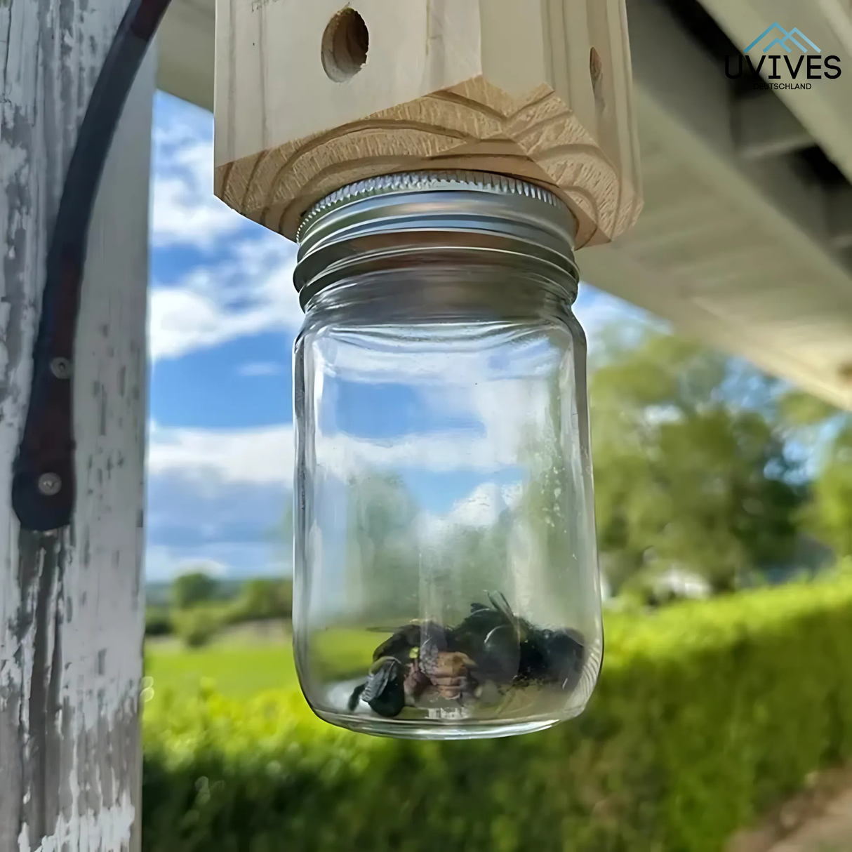 Carvallo – Naturligt skydd för ditt trä! Carvallo