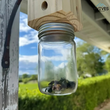 Carvallo – Naturligt skydd för ditt trä! Carvallo