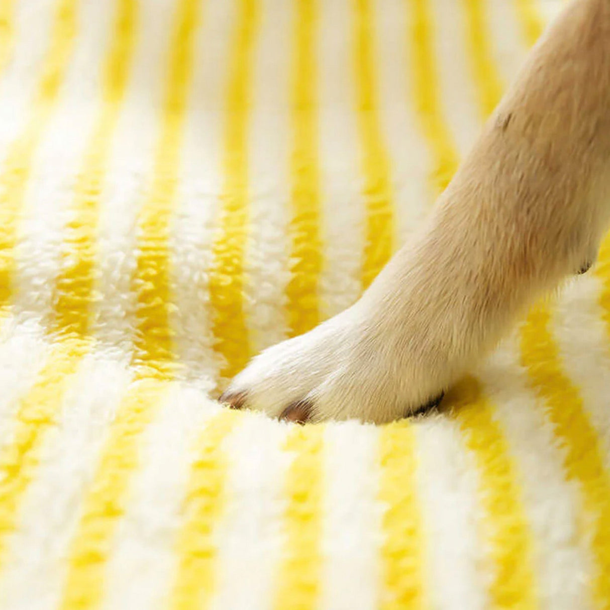 Ortopedisk Hundsoffa Säng Stor Stödjande Tvättbar Komfort Carvallo