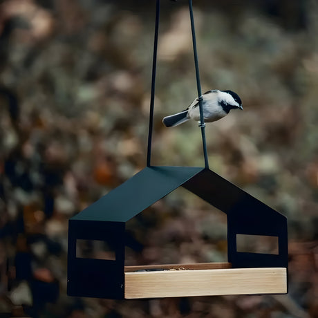TweetWood Bo | Elegant Hängande Fågelhus Carvallo