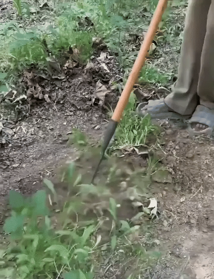 Luxora Mångsidiga Handtag Raker För Gräsmatta med Anpassade Huven Carvallo