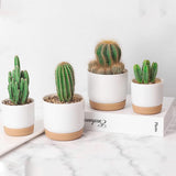 Självbevattnande blomkruka för orkidéer och växter – Plastplanteringskärl Carvallo