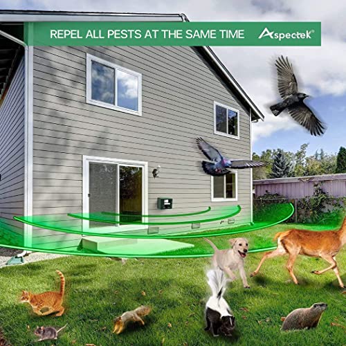 Royaleva Woodpecker Ultrasonic Repeller för effektiv fågelkontroll - Bli av med hackspettar Carvallo