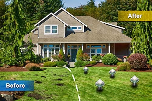 Solardriven djuravvisare för trädgård och gård – Miljövänligt skydd mot möss och gnagare Carvallo