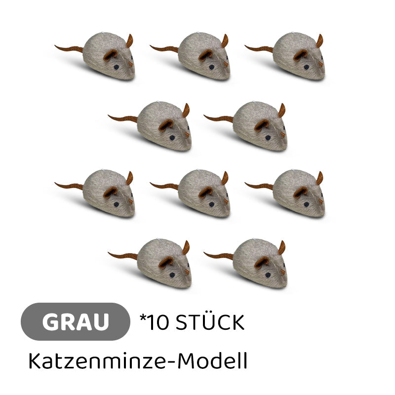 Carvallo | PawChase – Jaga, spela, jaga kul för din katt! Carvallo