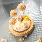 Carvallo - Sjöborrsnigel Natlys för personlig inredning Carvallo