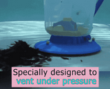 Royaleva Automatisk Poolstädare för Löv och Skräp Carvallo