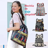 Carvallo – Allt på plats, smart packat Carvallo