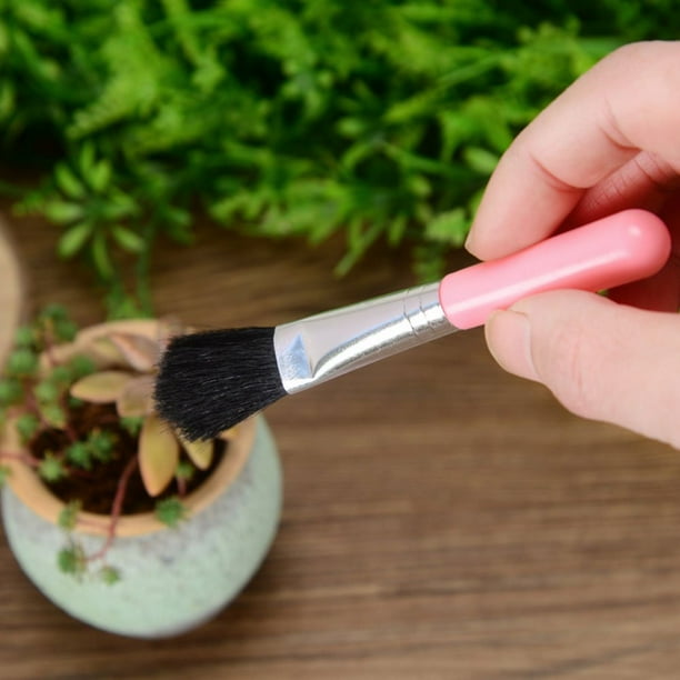 Kombinationsset för suckulentplanteringsverktyg – Praktiskt set för skötsel och plantering Carvallo