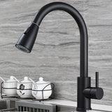 PureFlow – Enkelt Handtag Utdragbar Kökblandare Carvallo