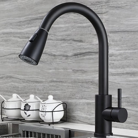 PureFlow – Enkelt Handtag Utdragbar Kökblandare Carvallo