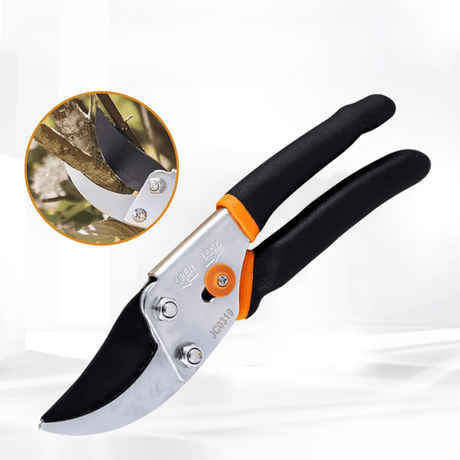 Carvallo Pro Häcksax | Rostfri kling | Ergonomisk & Rutschfest | Precision för fruktträd & buskar Carvallo