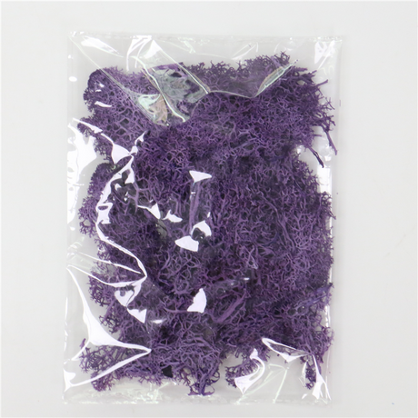 Konstgjord mossa för landskapsdesign – Mossa och blommor för dekoration och floristisk Carvallo