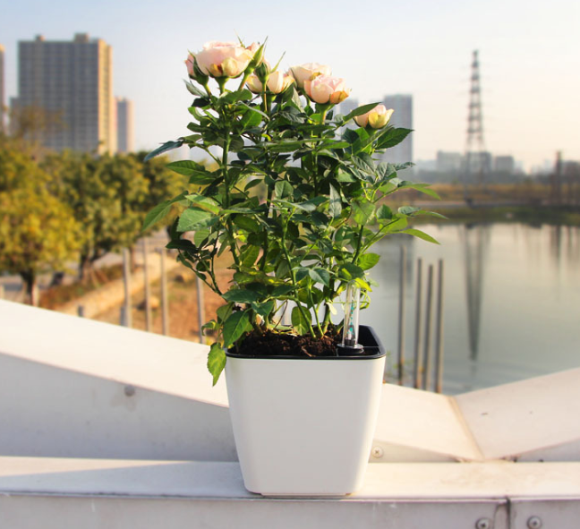 Blomkruka med bevattningssystem – Självbevattnande blomkruka för inomhus- och utomhusbruk Carvallo