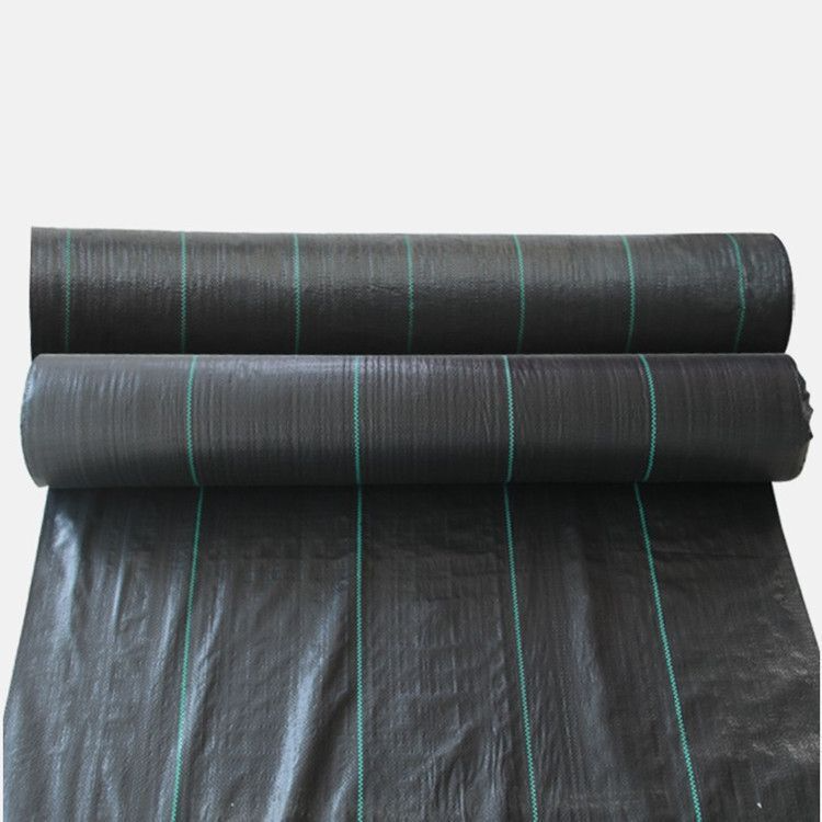 Ogräsduk Rulle – Robust och Andningsbar för Trädgård och Växtvård Carvallo