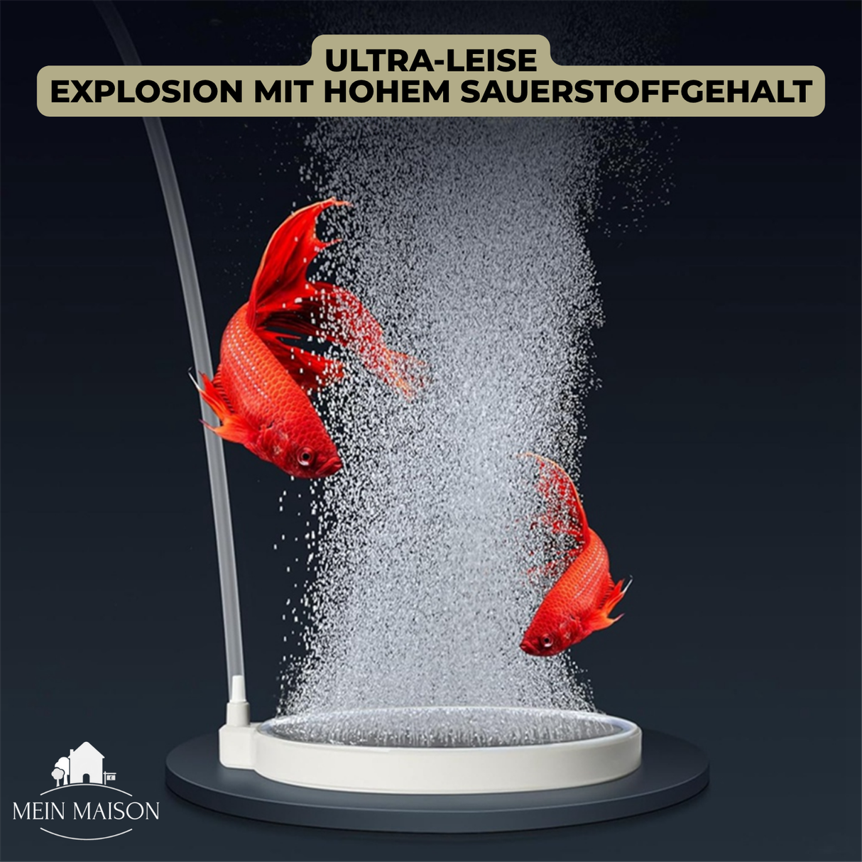 Carvallo Nano – Tyst frisk luft för ditt akvarium Carvallo