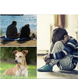 Carvallo - Kompakt GPS-tracker med magnetisk bas och precis spårning i realtid Carvallo