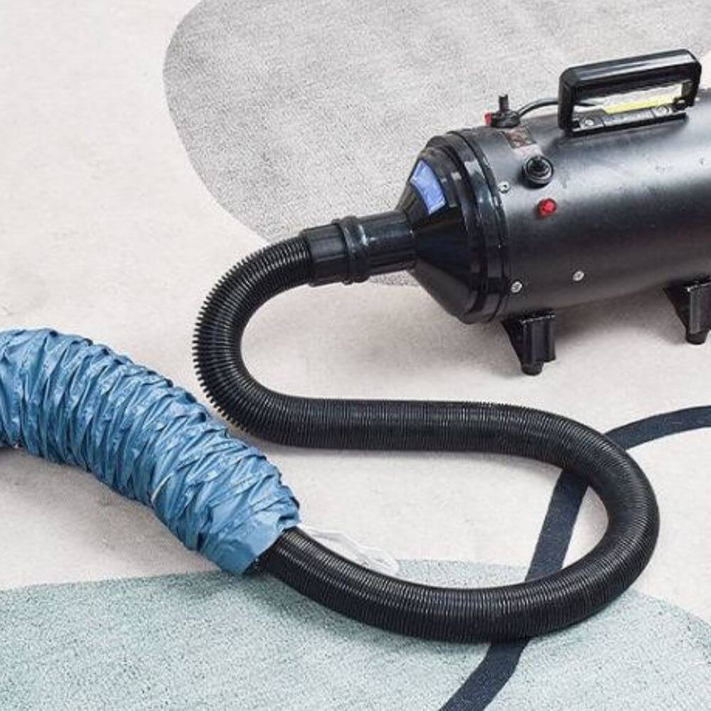 Snabbtorkande Påse för Husdjur-Animals-Hemnix-Hemnix