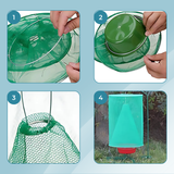 Carvallo – Slut med flugor i trädgården och huset Carvallo