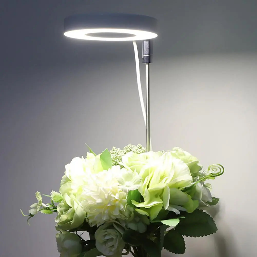 PlantGlow - Justerbar LED Grow Lampa för blomstrande inomhusväxter Carvallo