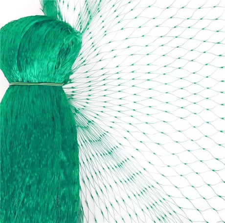 Skyddsnät för trädgårdsväxter – Grönt nät mot skadedjur och djur Carvallo