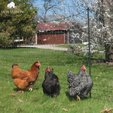 Carvallo Pro Trädgårdsnät | UV-beständigt & Rivtåligt | Mångsidigt växtskydd | Finns i önskad storlek Carvallo