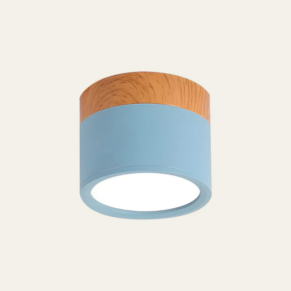 Cylinder Flush Taklampa | H2.36–2.75 in | Kompakt Modern LED Armatur | Sleek Aluminium | Brick by Brick Carvallo