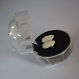 Vampyrtänder-halloween-Fyndhallen-13mm-Hemnix