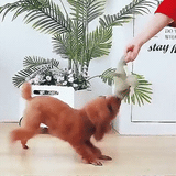 Hund Tugga Legetoy Plysch Hållbar Squeaky Djur Carvallo