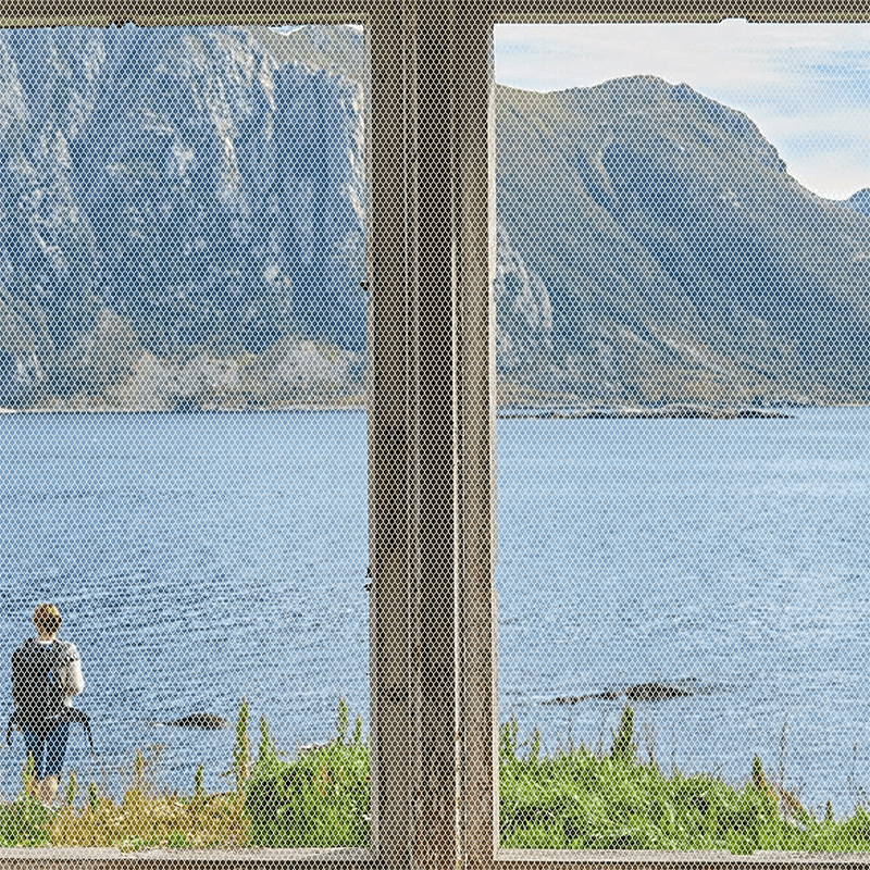 Självhäftande Insektsskydd Fönsternät - Enkel Installation & Effektivt Skydd-Kök-BB-Hemnix