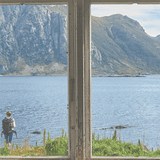 Självhäftande Insektsskydd Fönsternät - Enkel Installation & Effektivt Skydd-Kök-BB-Hemnix