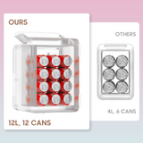 Mini Kylskåp Spegeldörr Portabel 12L Kylare Carvallo