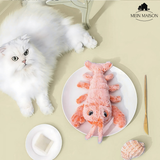 Carvallo – Den medspelare som tänker med Carvallo