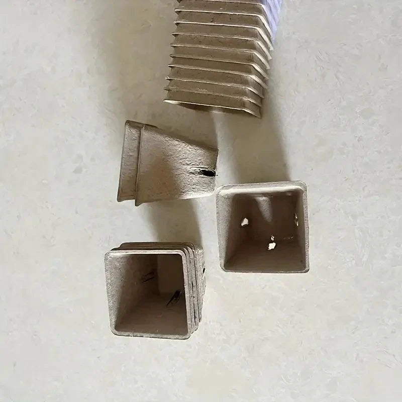 Carvallo Bio-odlingstöppar | 100 stycken | 5,99 cm | Biologiskt nedbrytbara & med dräneringshål | För grönsaker, örter & blommor Carvallo