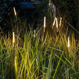 Solar Reed Lights | Vattentäta LED Trädgårdsdekorationer Carvallo