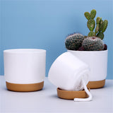 Självbevattnande blomkruka för orkidéer och växter – Plastplanteringskärl Carvallo