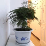 Blomkruka i plast med bambumotiv – Elegant planteringskruka för balkong och trädgård Carvallo