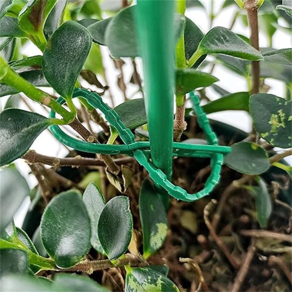 Plantbindning Kabelbinder Set för stabil fästning av växter Carvallo