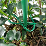 Plantbindning Kabelbinder Set för stabil fästning av växter Carvallo